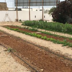 Escuela infantil con huerto en Castellón de la Plana