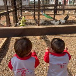 Escuela en entorno natural CEI Los Ángeles Castellón