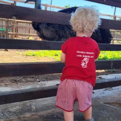 Escuela infantil con granja de animales