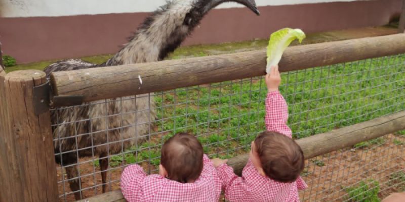 Escuela infantil en Castellón con animales