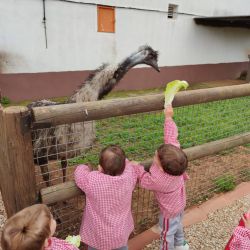Escuela infantil en Castellón con animales