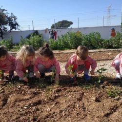 Escuela Los Ángeles Castellón   Infantil 0 3 años